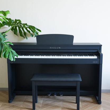 PIANOVA H-302 Digital Piano